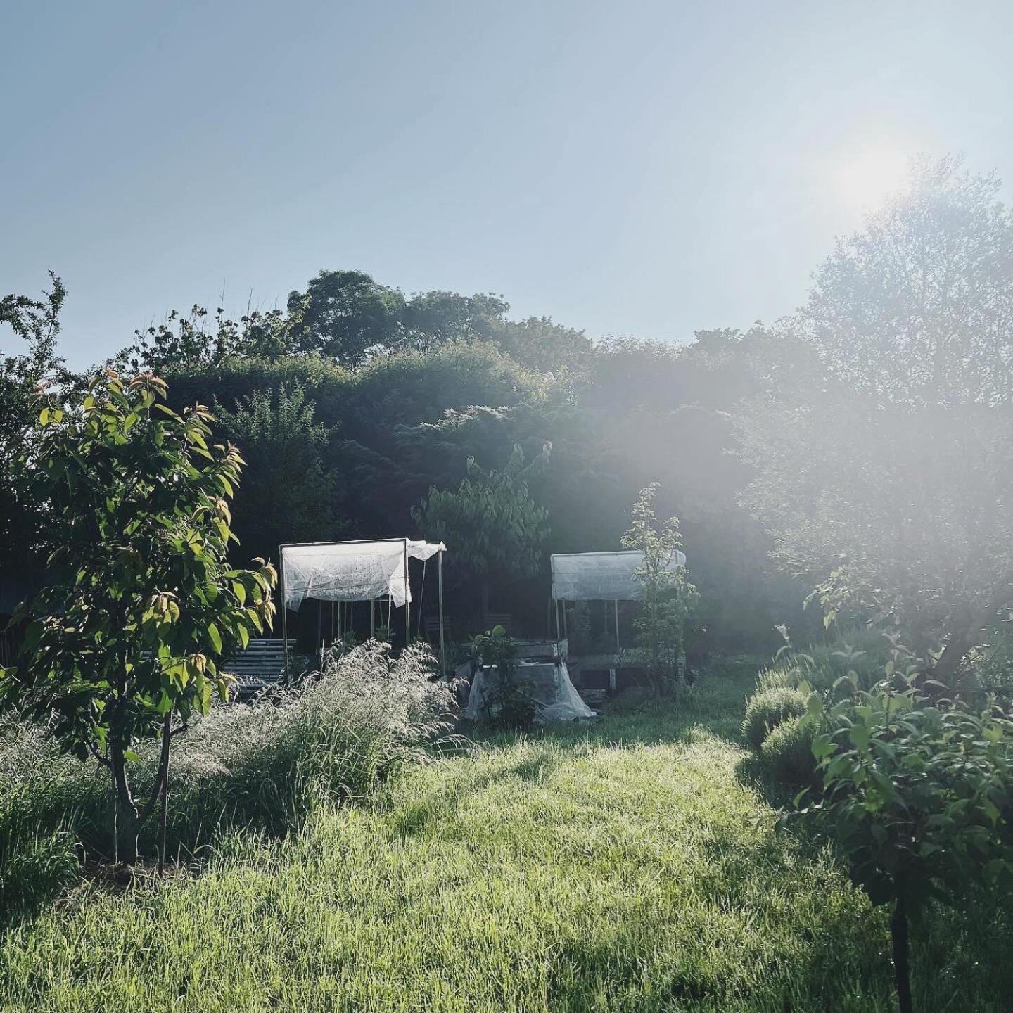 Maisonnette - La Clochette Lugon et l’Ile du Carney Exteriör bild